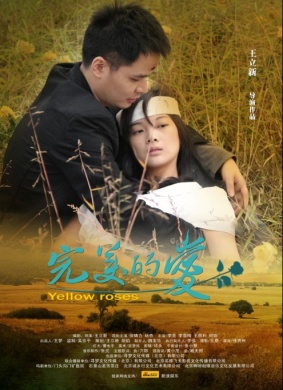 完美的爱Yellow Rose