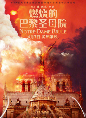 燃烧的巴黎圣母院Notre-Dame br?le