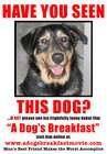 狗的早餐A Dog's Breakfast