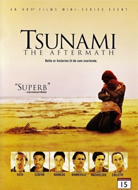 海啸过后Tsunami: The Aftermath
